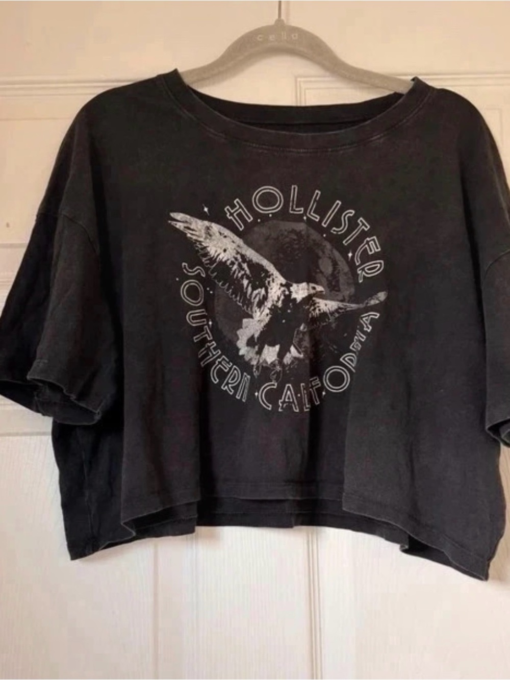Hollister Black Cropped Graphic Tee with White Eagle Print